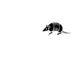 Armadillo Mini Storage